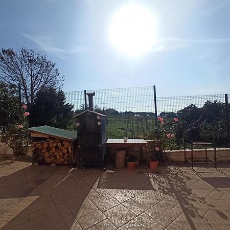 Villa Lilly Roma Dış mekan fotoğraf