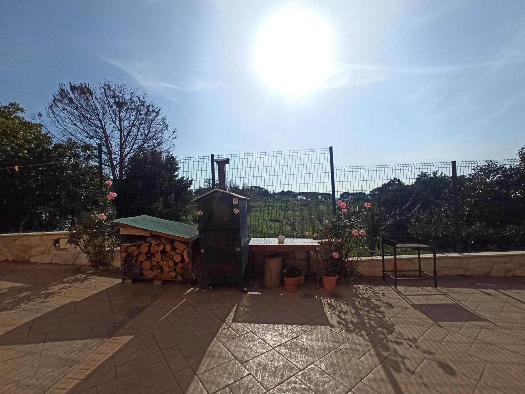 Villa Lilly Roma Dış mekan fotoğraf